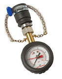 Water pressure gauge - Obbo.SG