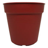 BABA TP-85 Smoky Brown Plastic Pot (8.5cmØ x 7.5cmH) - Obbo.SG