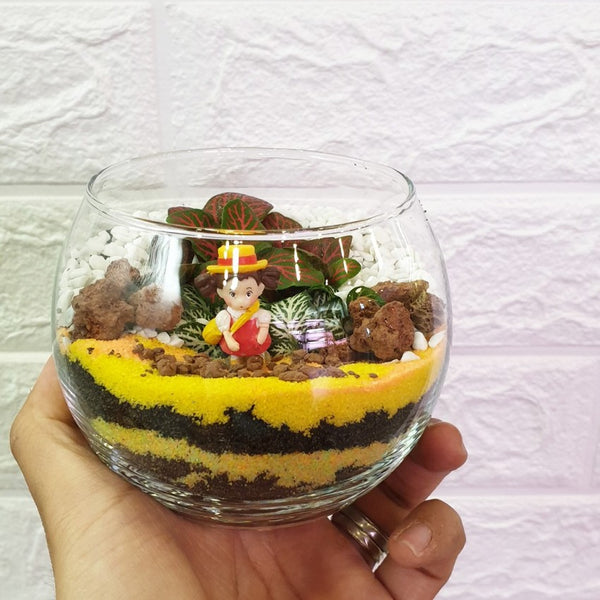 Buy 【Open Spherical Terrarium】 from Trusted Distributors & Wholesalers