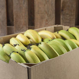 12 X ORGANIC BANANA - Obbo.SG