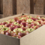 10 X ORGANIC APPLE GALA VALUE PACK AUSTRALIA - Obbo.SG