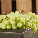 2 X GRAPES GREEN SEEDLESS 500G AUSTRALIA - Obbo.SG