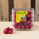DRISCOLL'S RASPBERRY - Obbo.SG
