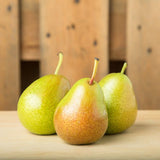 3 X PEAR CORELLA SMALL - Obbo.SG