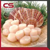 US Scallop