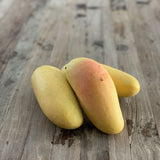 MANGO RAINBOW LARGE THAILAND - Obbo.SG