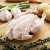 ORGANIC KAMPUNG CHICKEN WHOLE 1 KG - Obbo.SG