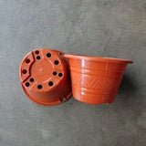 BABA No.3466A Pot (Cotta) (14.3cm¯ x 9cmH) - Obbo.SG