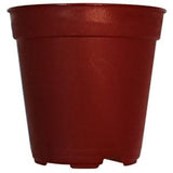 BABA No.55 Smoky Brown Plastic Pot (5.5cmØ x 5cmH)