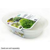 BABA MT-3003 Microgreen Box (31.5cmL x 23.5cmW x 8.5cmH)