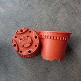 BABA RD-120 Pot (Cotta) (12.5cm¯ x 10.1cmH) - Obbo.SG