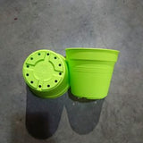 BABA TP-85 Pot (Light Green) (8.5cm¯ x 7.5cmH) - Obbo.SG