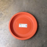 BABA No.939 Saucer (Cotta) (27.5cm¯ x 3.2cmH)