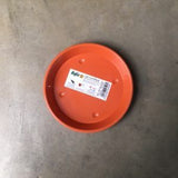 BABA No.923 Saucer (Cotta) (21cm¯ x 2.3cmH)