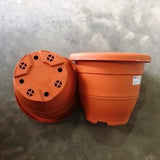 BABA EG-392 Pot (Cotta) (39.2cm¯ x 32.4cmH) - Obbo.SG