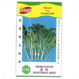 BEST Seed #114 Chinese Kale