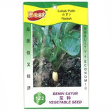 BEST Seed #122 Radish
