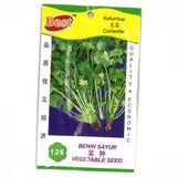 BEST Seed #126 Coriander