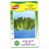 BEST Seed #137 Mini Cos Lettuce
