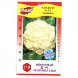 BEST Seed #210 Cauliflower 包菜花