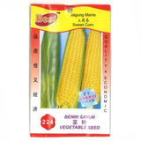 BEST Seed #224 Sweet Corn