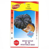 BEST Seed #225 Pumpkin - Obbo.SG