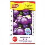 BEST Seed #229 Round Eggplant
