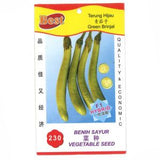 BEST Seed #230 Green Brinjal 青茄子