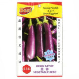 BEST Seed #236 Short Eggplant 朱茄子 - Obbo.SG