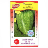 BEST Seed #237 Big Bitter Gourd