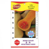 BEST Seed #238 Pumpkin