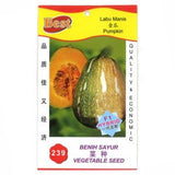 BEST Seed #239 Pumpkin - Obbo.SG