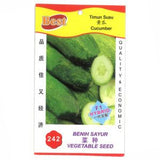 BEST Seed #242 Cucumber 黄瓜 - Obbo.SG