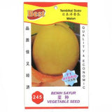 BEST Seed #245 Melon