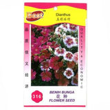 BEST Seed #316 Dianthus - Obbo.SG