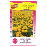BEST Seed #318 French Marigold 万寿菊