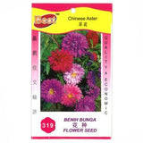 BEST Seed #319 Chinese Aster