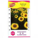 BEST Seed #320 Sunflower 向日葵