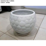 Ceramic Pot 14005 White (13cm¯ x 14cmH) - Obbo.SG