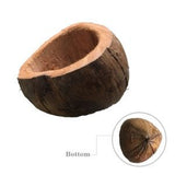 Coconut Pot - Obbo.SG