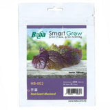 BABA Seed HB-002 Red Giant Mustard