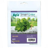 BABA Seed HB-009 Plain Parsley