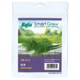 BABA Seed HB-013 Dill Fernleaf