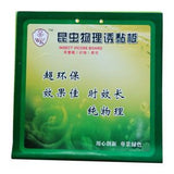 Insect Board (For Fruit Fly) 21cmL x 21cmW