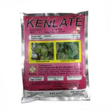 KENLATE 50% WP Fungicide (500g)