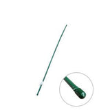 #20124 PE Coated Bamboo Cane Green (6 feet, 13 - 15mm¯) - Obbo.SG