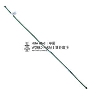 #20124 PE Coated Bamboo Cane Green (6 feet, 13 – 15mmØ) - Obbo.SG