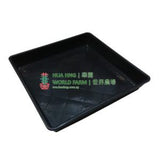 S220 Black China Plastic Plate (22cmL x 22cmW x 3cmH)