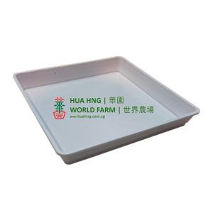 S300 White China Plastic Plate (30cmL x 30cmW x 4cmH) - Obbo.SG