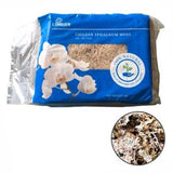 Chilean Sphagnum Moss (1 Kg) - Obbo.SG